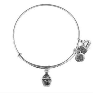 3/$20 Alex and Ani cupcake bracelet